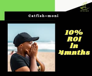 Catfish-moni - Image 1